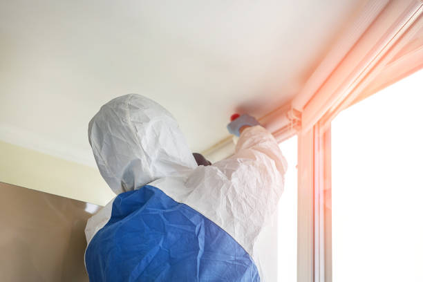 Best Mold Removal for HVAC Installations  in Arizona City, AZ